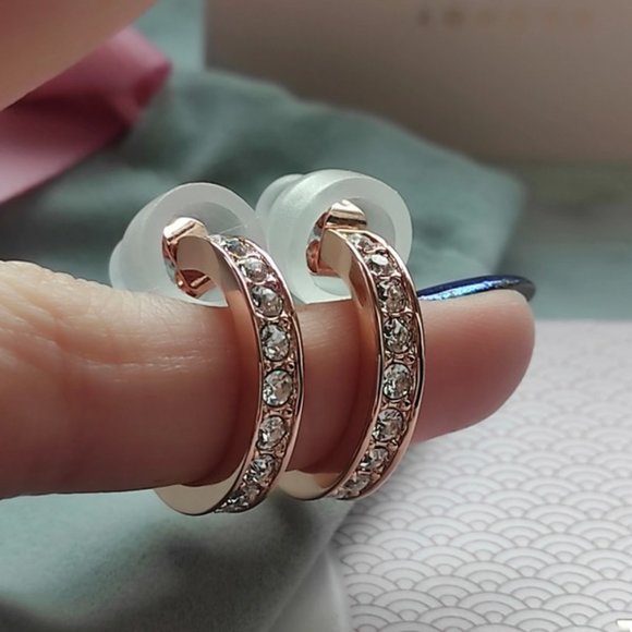 NEW Ted Baker Seanna Crystal Small Hoop Earrings - Picture 6 of 11